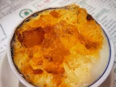 桃胶双皮奶-仁信老铺(华盖路店)