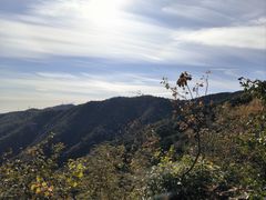 -香山公园