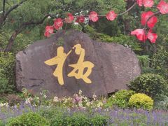 -无锡梅园公园