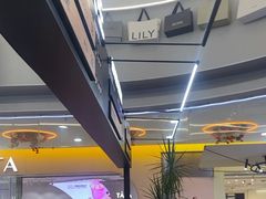 -野人先生Gelato(上海长宁龙之梦店)