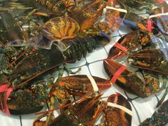 -大锅强·蒸海鲜青岛菜(金沙滩店)