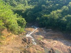 -广州白江湖森林公园