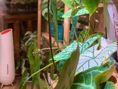 -Rabbit Cafe私房西餐甜点咖啡(栖霞路店)