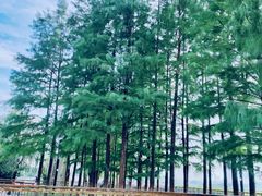 -月湖风景区