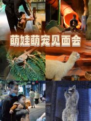 -酷嗒动物文化乐园(cutezoo西溪乐天城店)