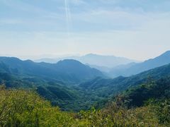 -大岭沟猕猴桃谷风景区