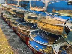 -沿海渔家院海鲜烧烤·东北菜(东戴河店)