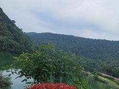 -桃花岭景区