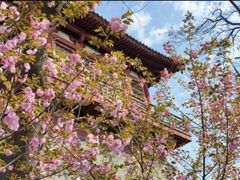 -西安青龙寺遗址景区