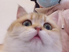 -小小班私人影院·猫咖(万达茂广场店)