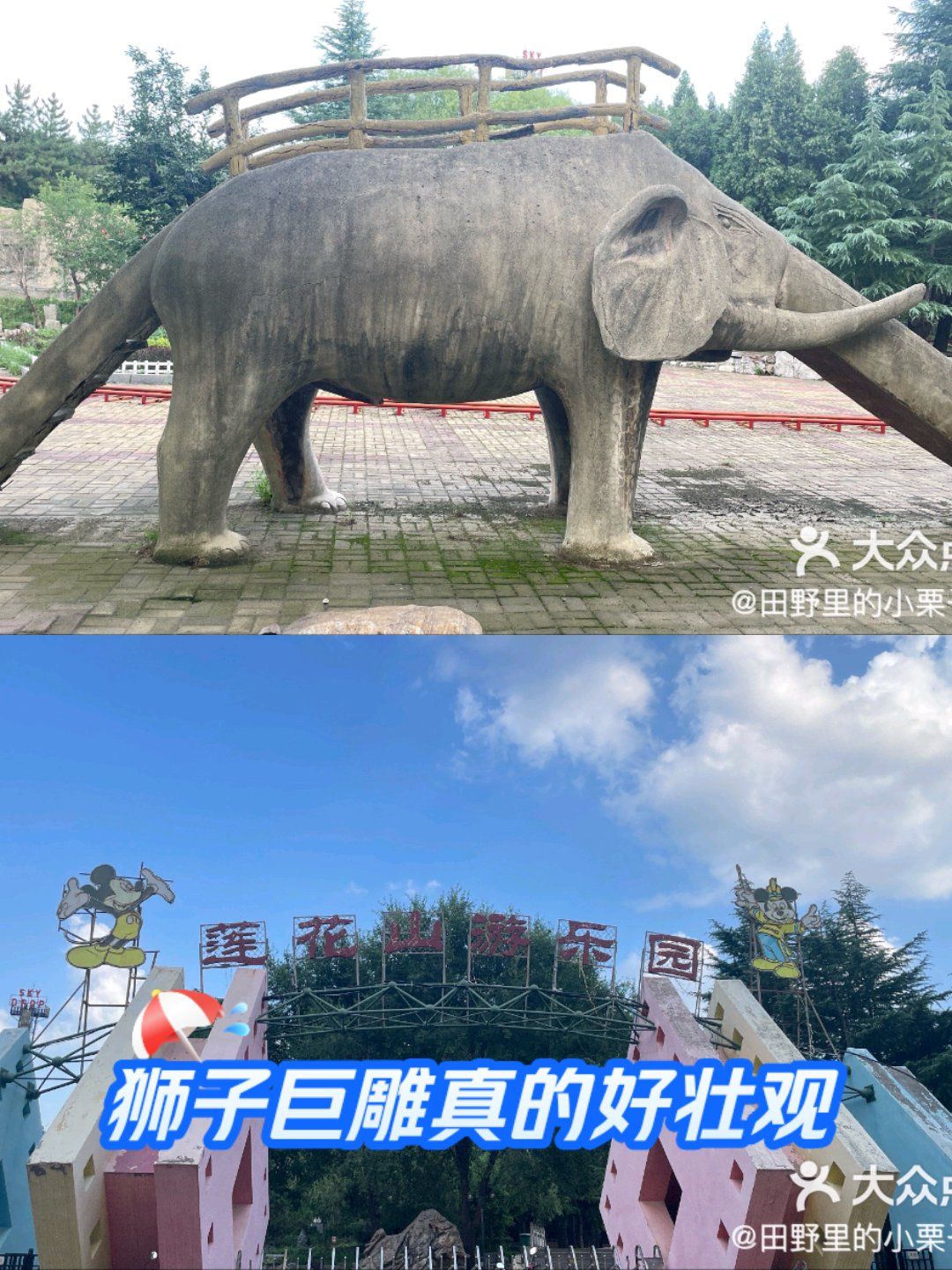 博山区莲花山公园