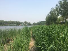 -亲兄弟真人CS团建拓展基地