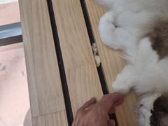 -爪爪喵星球·猫舍(卓悦中心店)