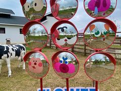 -杭州湾海上花田景区