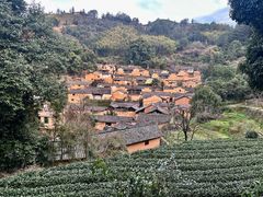 -杨家堂村