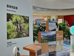 -龙湖西安曲江天街