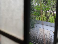 -张乐平故居
