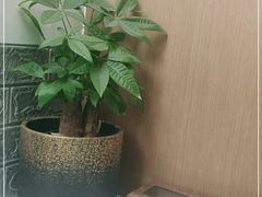 -HONGA HONGA雄家(曹路店)