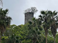 -江心屿景区