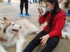 -TrueLove @ Neverland (Husky Cafe)