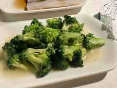 -云中小雅