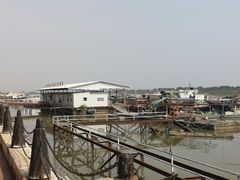 -大湾区中央湿地公园-十九涌