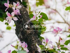 -广州珠江公园