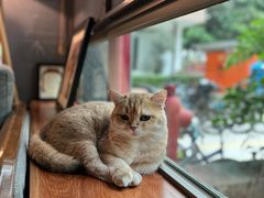 -咖法森林·咖啡  酒吧(天河店)