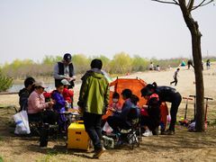 -东郊湿地公园
