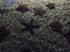 -石林冰雪海洋世界