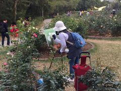 -人民公园(罗湖区)