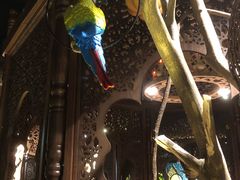 -楼兰新疆主题餐厅(苏州中心店)