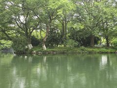 -西湖游船