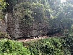 -青城山