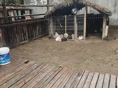 -乌村