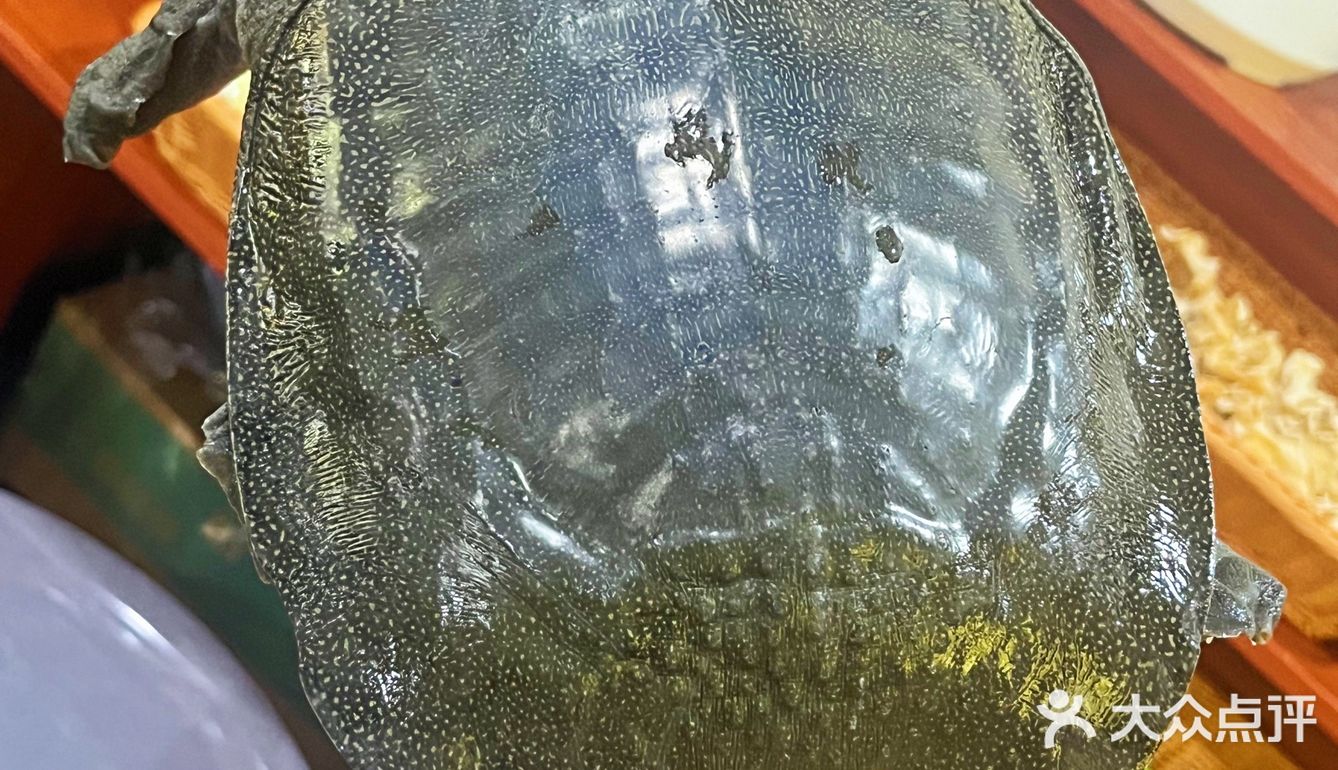 佛山三水|一周要吃几次的湘菜馆🔥