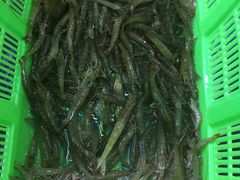 -崖口红树林海鲜餐厅