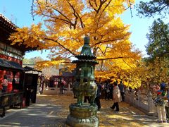 -红螺寺