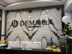 -DEM缔怡美科技美容