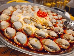 大白贝-水哥卜卜贝(东晓·胜汇里店)