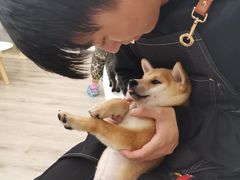 -浣熊柯尔鸭土拨鼠·电玩咖