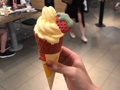 -麦当劳(东苑丽宝商业广场店)