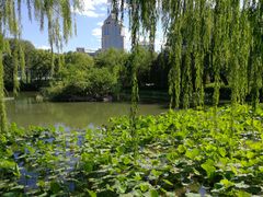 -北京动物园-畅观楼