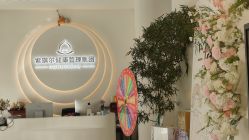 -紫琪尔·匠心连锁·胸部护理养护