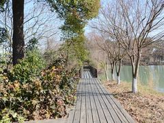 -苏州太湖国家湿地公园
