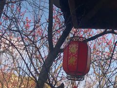 -无锡梅园公园