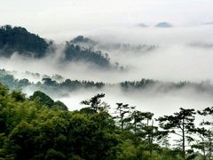 -木兰云雾山