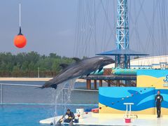 -秦皇岛乐岛海洋王国