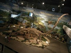 -自贡恐龙博物馆