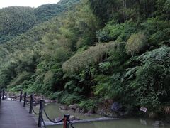 -藏龙百瀑风景区